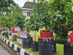 Inovasi Baru, NR Florist Linggau Sediakan Ucapan Lewat Bibit Tanaman Buah